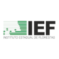 IEF.png